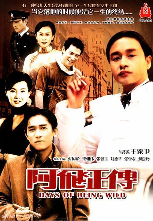 丹尼森大学degree